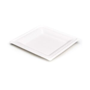 PIATTO QUADRATO BAGASSA BIO CM 15X15