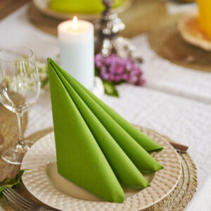 Alternative view of TOVAGLIOLO DUNISOFT 40X40 VERDE FOGLIA DUNI