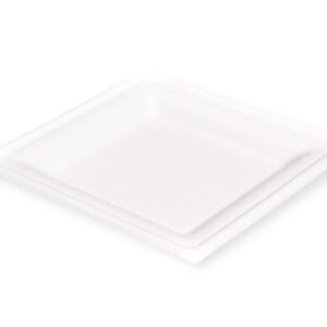 PIATTO QUADRATO BAGASSA BIO CM 26X26