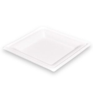 PIATTO QUADRATO BAGASSA BIO CM 20X20