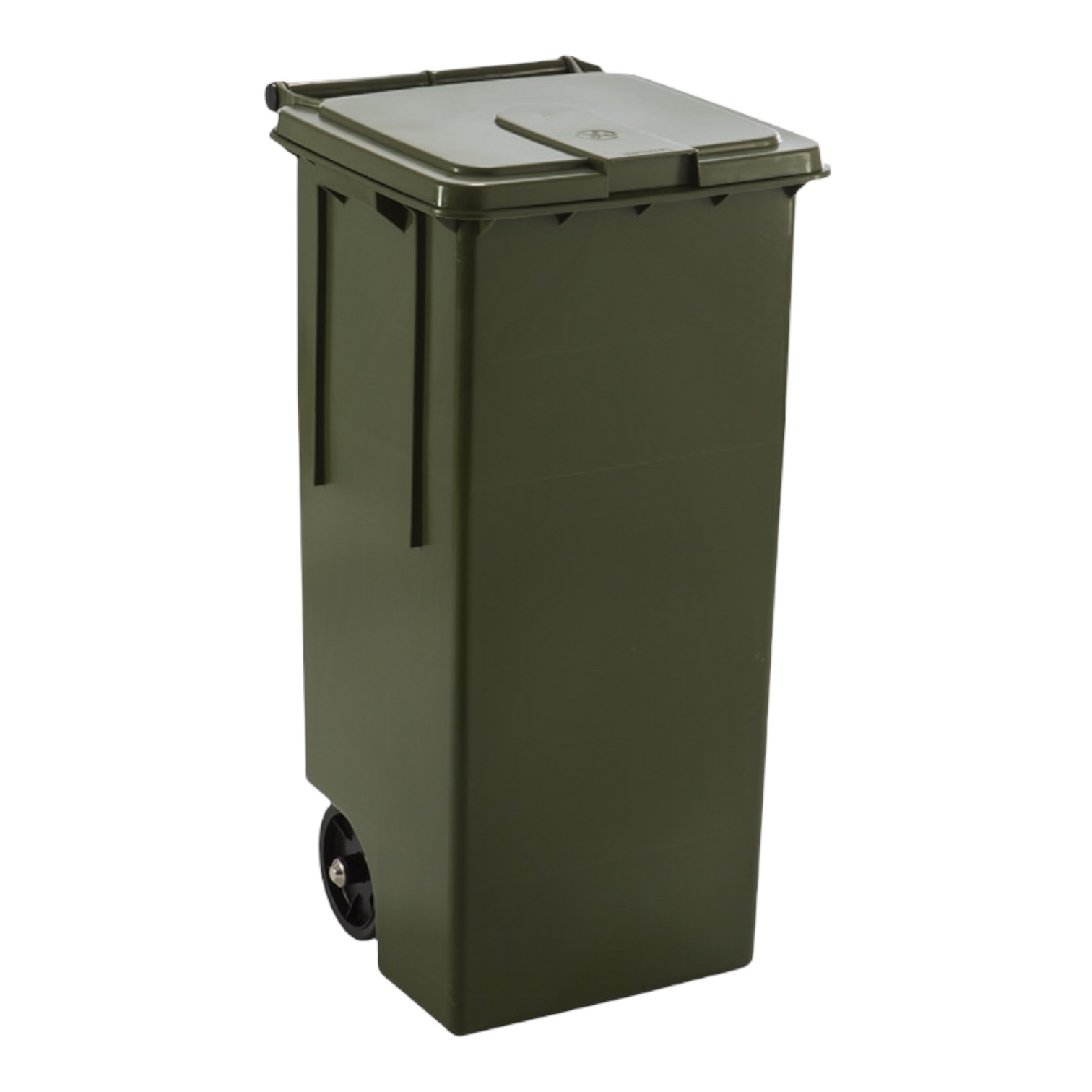 BIDONE MAX VERDE LT 100